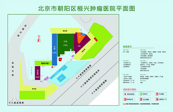 操机巴观看网站北京市朝阳区桓兴肿瘤医院平面图